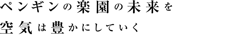 ペンギンの楽園の未来を空気は豊かにしていく